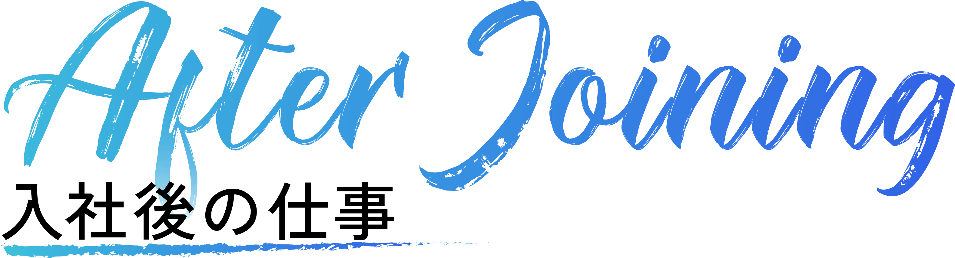 入社後の仕事